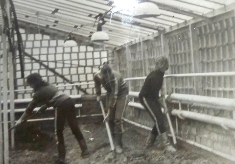 Работа в школьной теплице