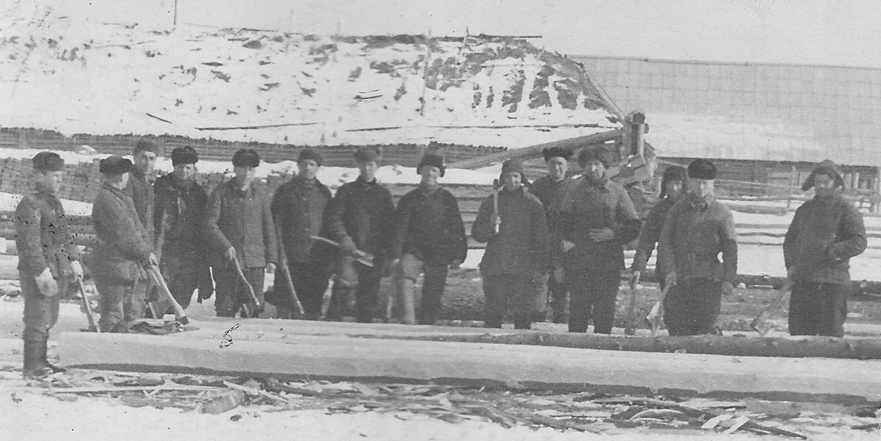 Бригада колхозников на коровнике. 1959 год