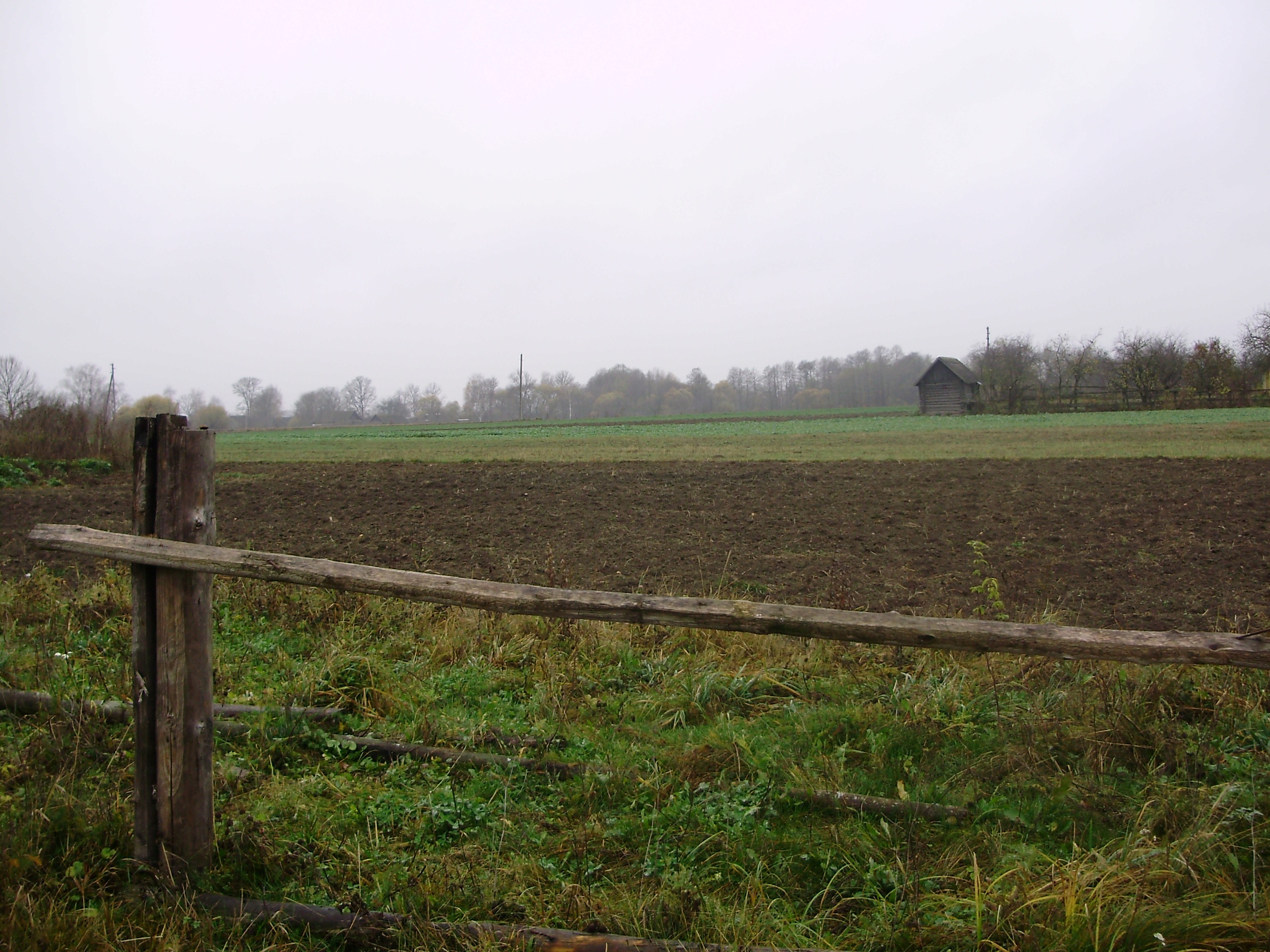 На этом месте когда-то был фруктовый сад священника