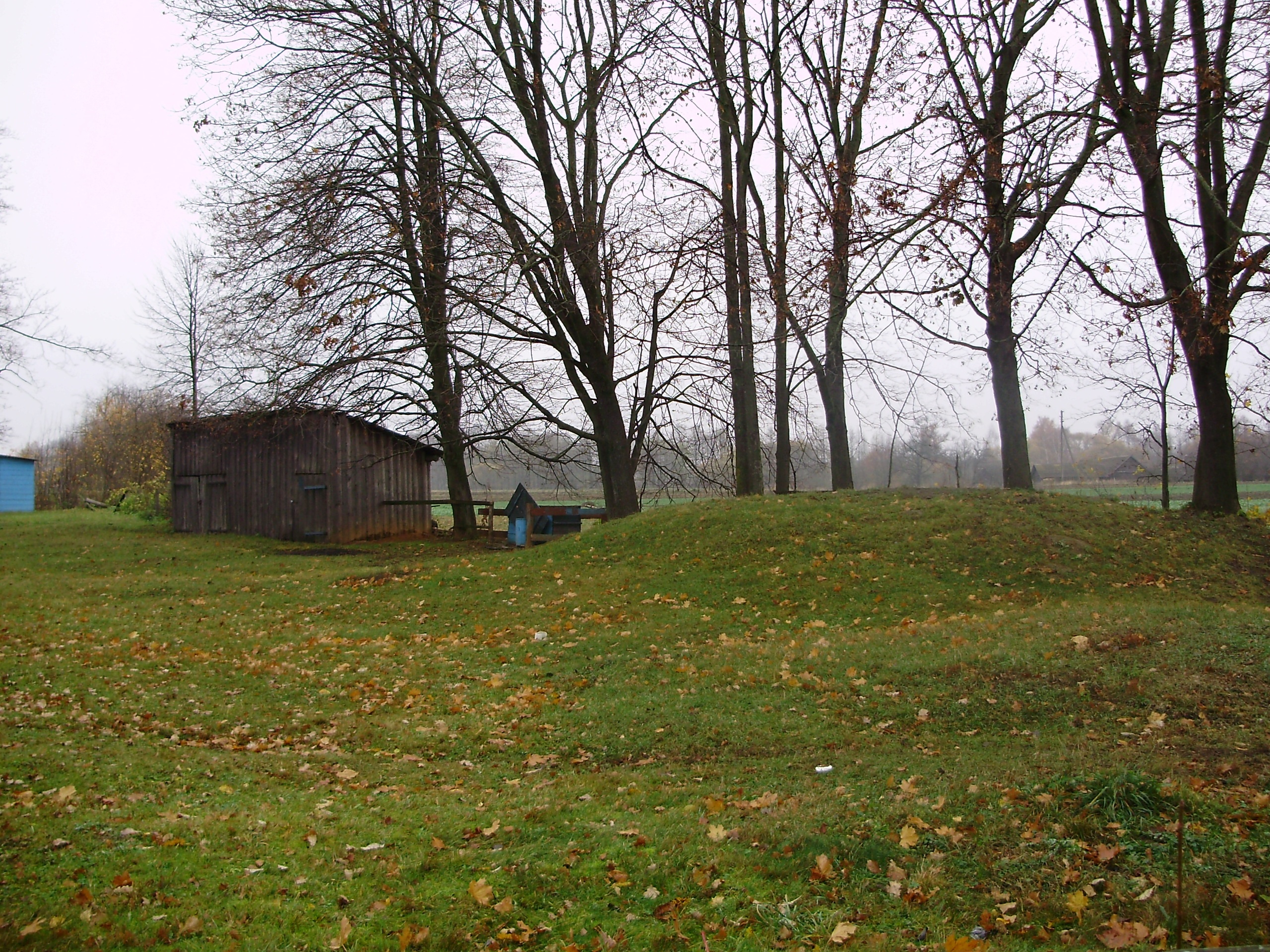 Могильные холмики