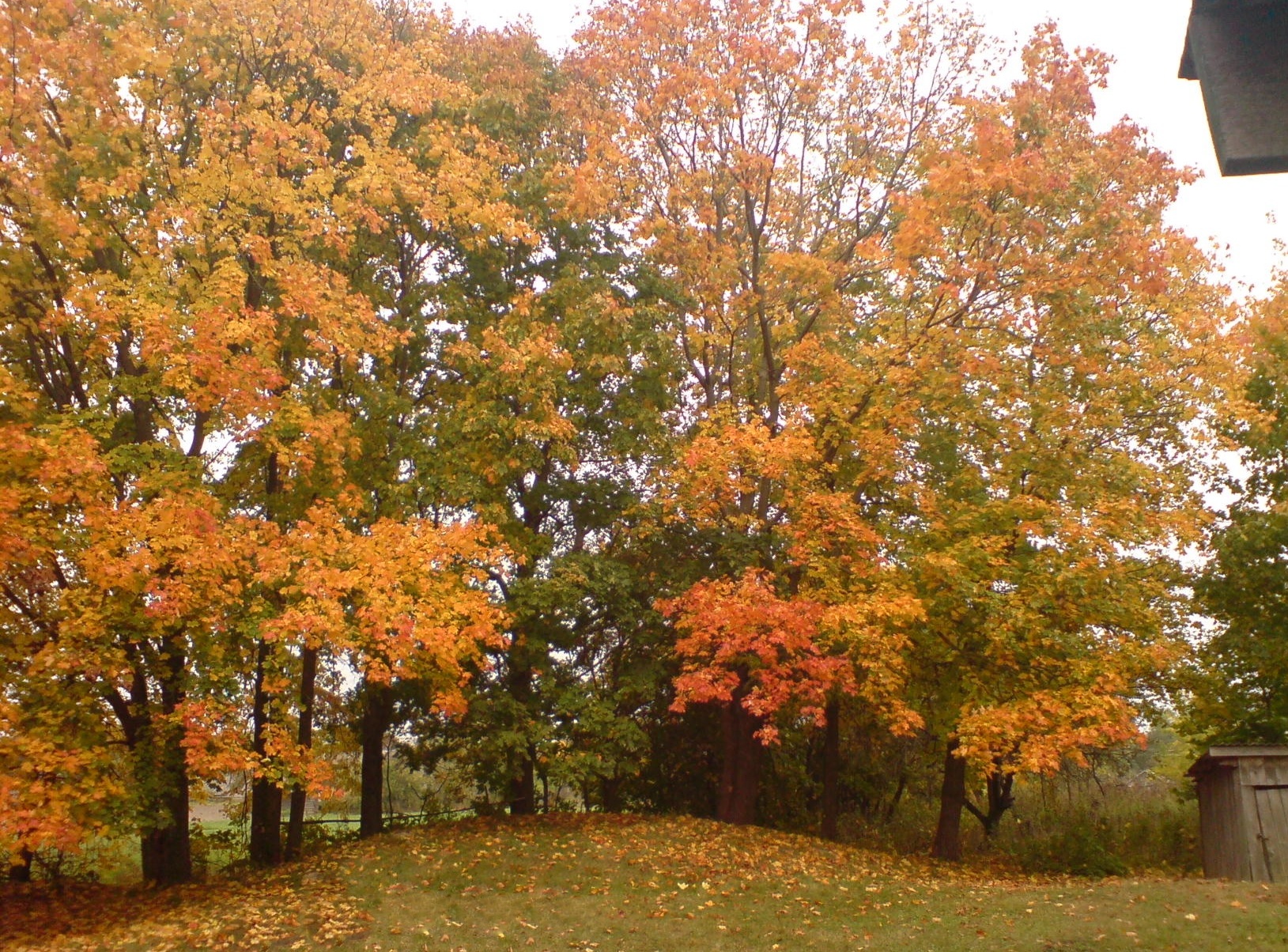 Осень на церковном цвинтере
